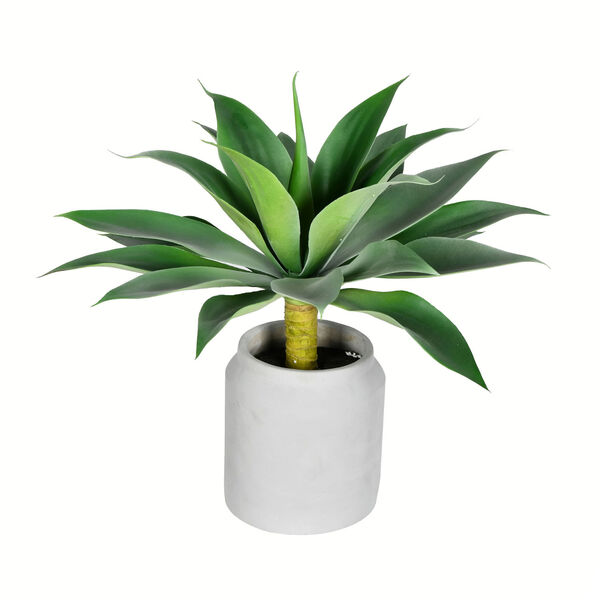 Green Agave with White Ceramic Pot, image 1