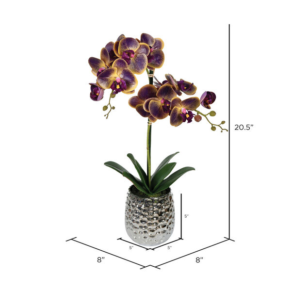 Green and Purple 21-Inch Phalaenopsis with Ceramic Pot, image 2