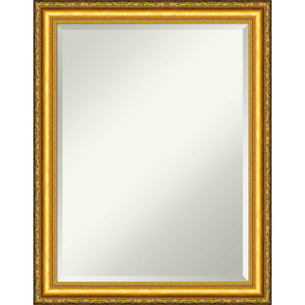 Colonial Gold 22W X 28H-Inch Decorative Wall Mirror, image 1