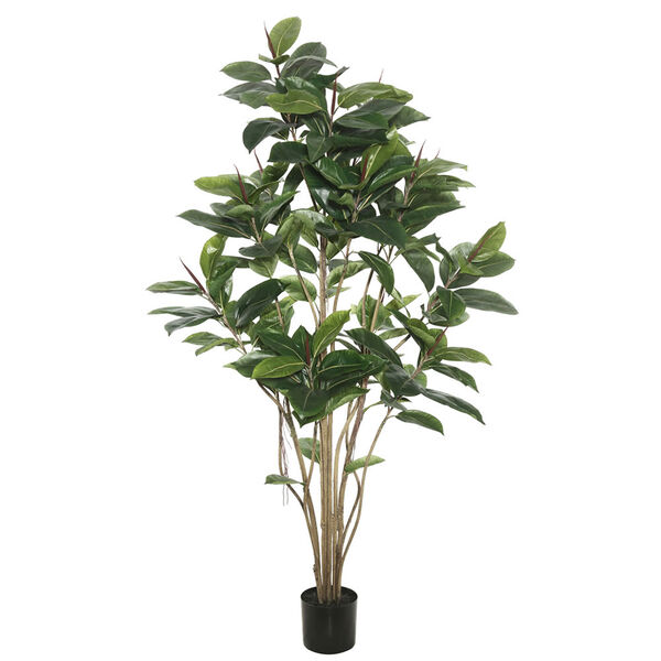 6 Ft. Potted Rubber Tree, image 1
