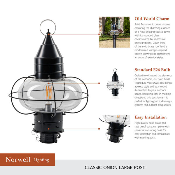 Classic Onion Black Single Light Outdoor Large Post Mount w/Clear Glass, image 9