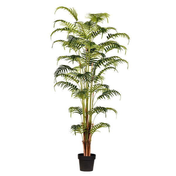 Green 70-Inch Potted Fern Palm Tree, image 1
