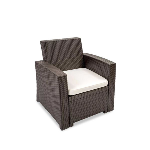 Plastique Chocolate Canvas Black Lounge Chair, image 1