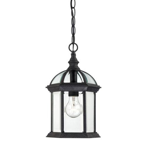 Boxwood Textured Black Finish One Light Outdoor Hanging Pendant with Clear Beveled Glass, image 1