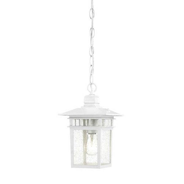 Cove Neck White Finish One Light Outdoor Hanging Pendant with Clear Seeded Glass, image 1