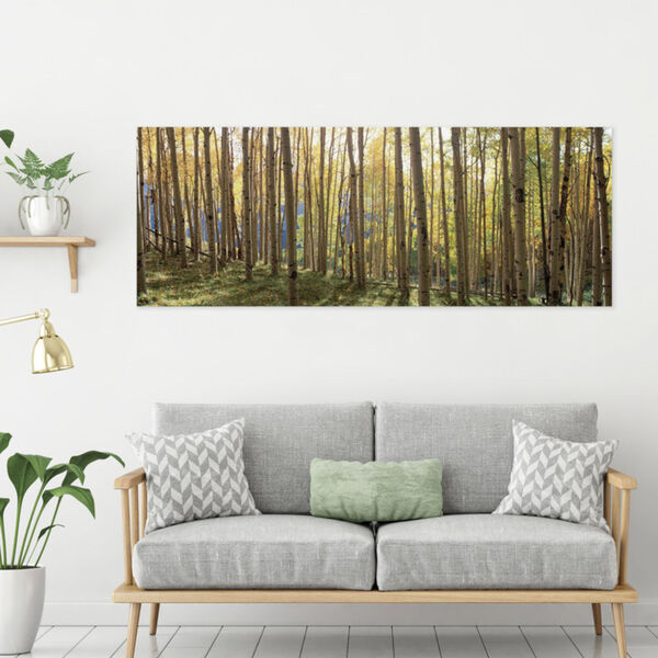 Sunlit Colorado Trees Print, image 2