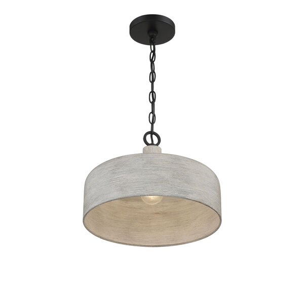 Claire Weathered Gray and Black One-Light Pendant, image 4