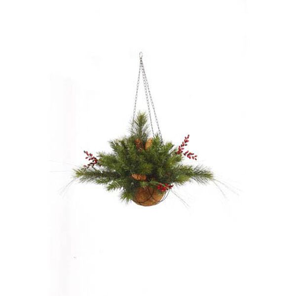 Green Mixed Berry Cone Hanging Basket 12-inchX20-inch, image 1