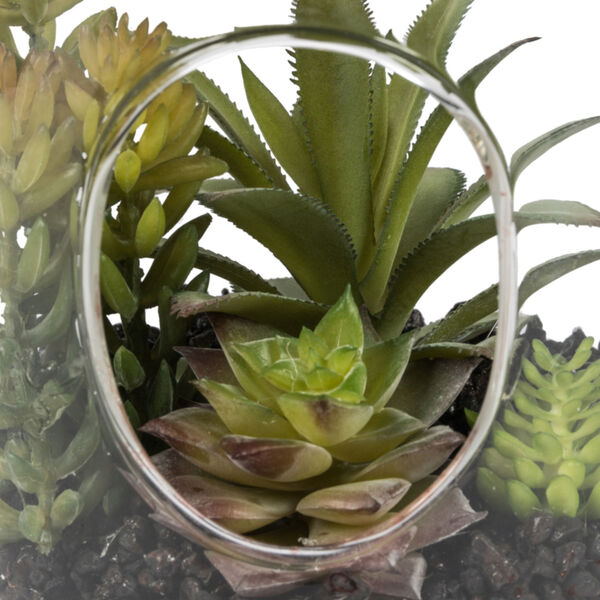 Green Assorted Succulents in Glass Jar, image 3