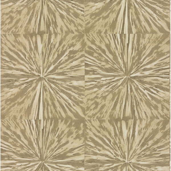 Antonina Vella Elegant Earth Light Gold Squareburst Geometric Wallpaper, image 2