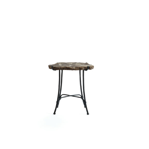 Petrified Brown Side Table, image 1