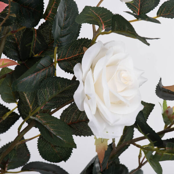 White 45-Inch Rose Plant in Pot, image 2