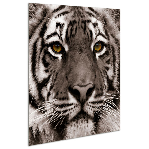 Eye of the Tiger Frameless Free Floating Tempered Glass Graphic Wall Art, image 3