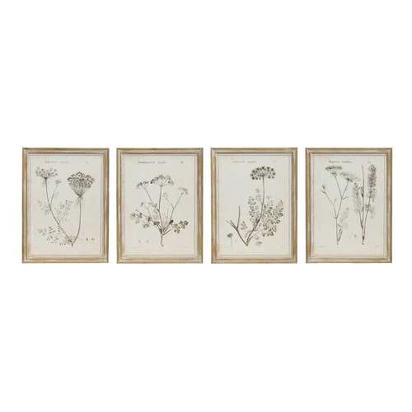 White 18 x 24-Inch Vintage Reproduction Botanical Print Wall Art, Set of 4, image 1