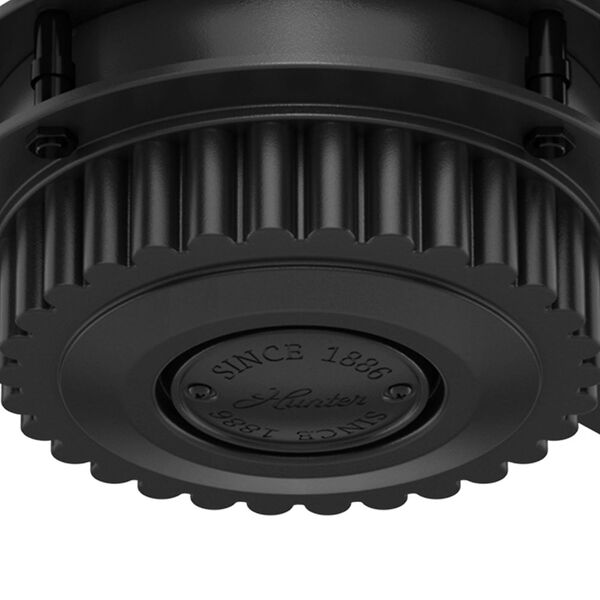 Chronicle Matte Black 54-Inch Adjustable Ceiling Fan, image 3