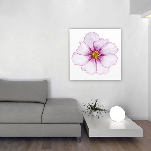 Magenta Cosmo on White Frameless Free Floating Tempered Glass Graphic Wall Art, image 1