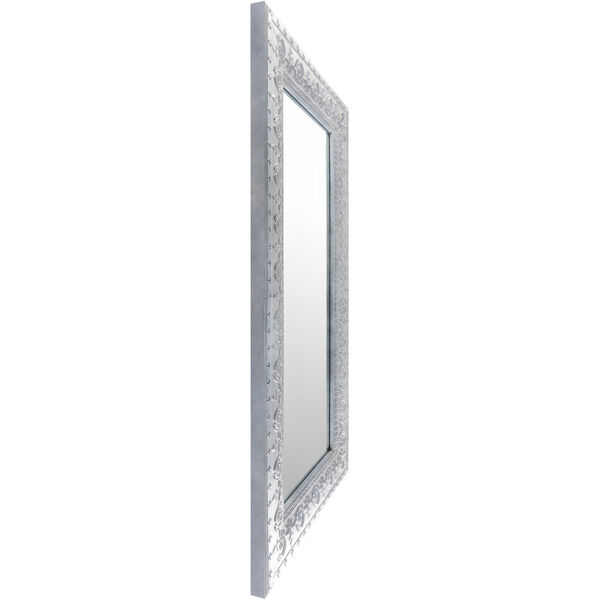 Capacious Gray Full Length Floor Mirror, image 3
