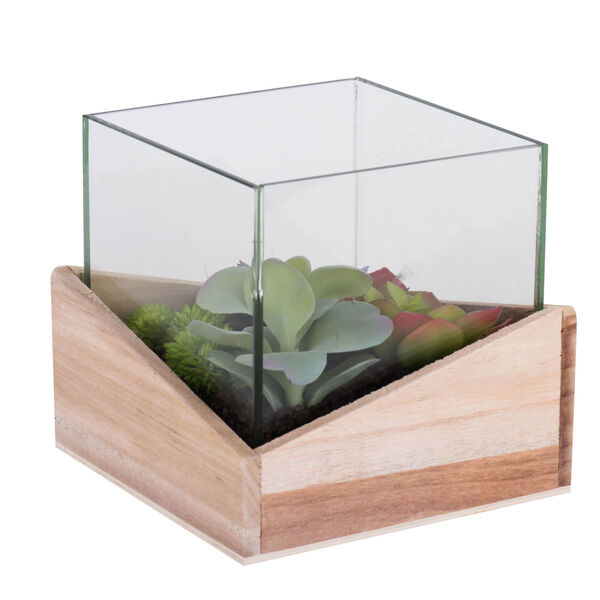 Green Assorted Succulents in Glass and Wood, image 1