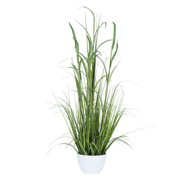 Green Potted Bamboo Grass, image 1