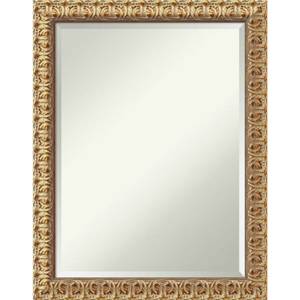 Florentine Gold 22W X 28H-Inch Decorative Wall Mirror, image 1