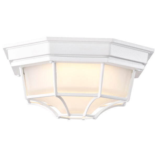 White LED Spider Cage Outdoor Wall Mount with Frosted Glass, image 4