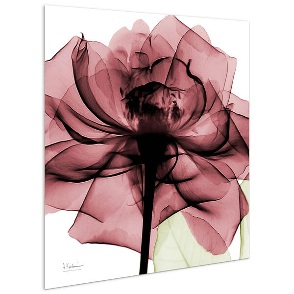 Chianti Rose II Frameless Free Floating Tempered Glass Graphic Wall Art, image 3