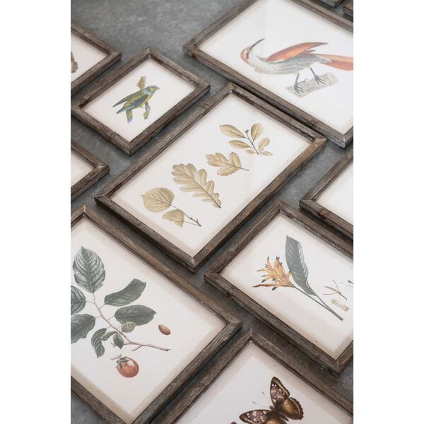 Multicolor 12 x 18-Inch Insects, Birds, Plants and Fruit Wall Decor, Set of 12, image 2