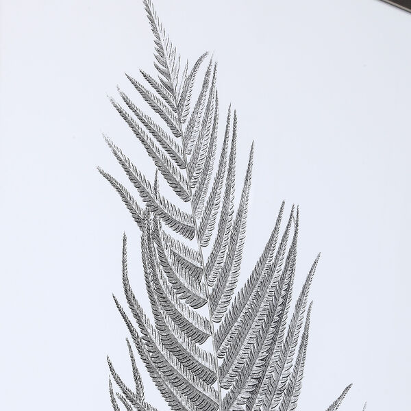 Silver Ferns Print, Set of Two, image 5