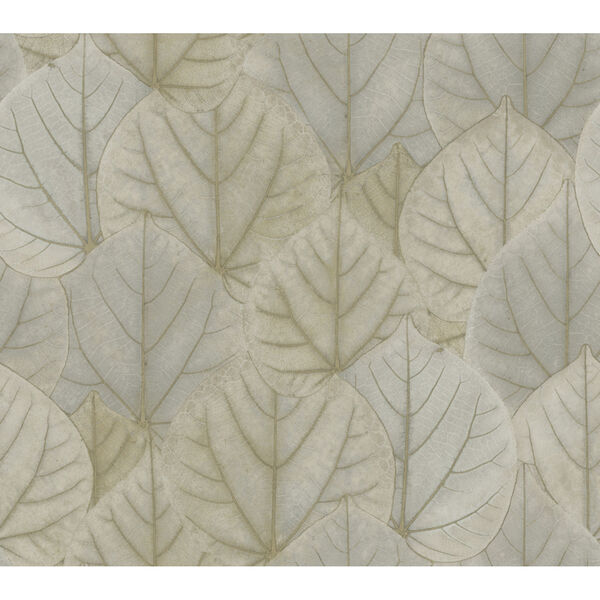 Candice Olson Modern Nature 2nd Edition Taupe Leaf Concerto Wallpaper, image 2
