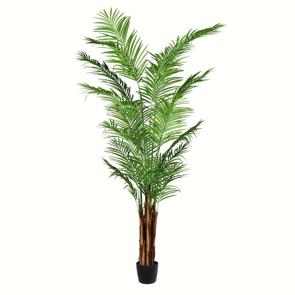 Green Potted Areca Palm with 837 Leaves, image 1