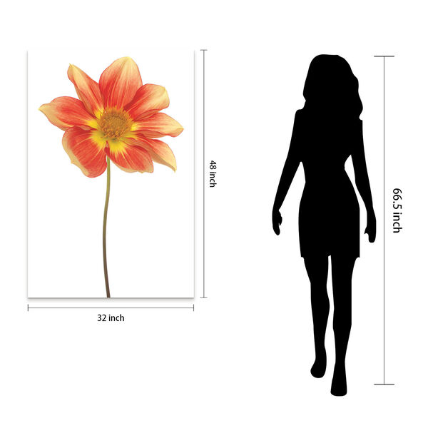 Red Yellow Dahlia on White Frameless Free Floating Tempered Glass Graphic Wall Art, image 5