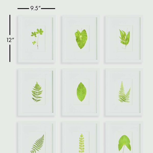 White Green Green Leaf Petite Prints Wall Art, Set of Nine, image 4