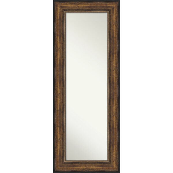 Bronze 22W X 56H-Inch Full Length Mirror, image 1