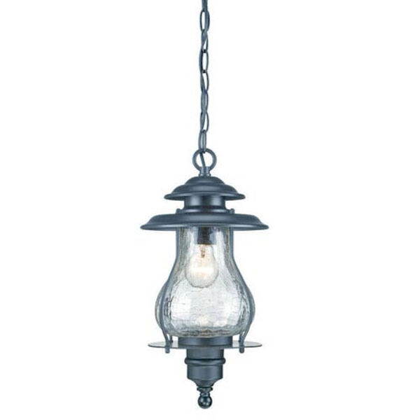 Blue Ridge Matte Black One-Light Outdoor Hanging Lantern with Clear Crackled Glass, image 1