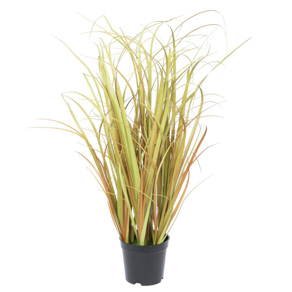 Brown Mixed Grass with Black Pot, image 1