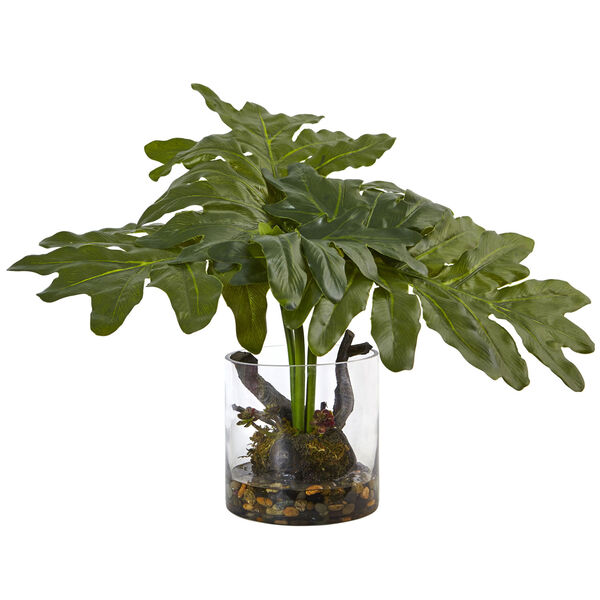 Philodendron Arrangement with Vase, image 1