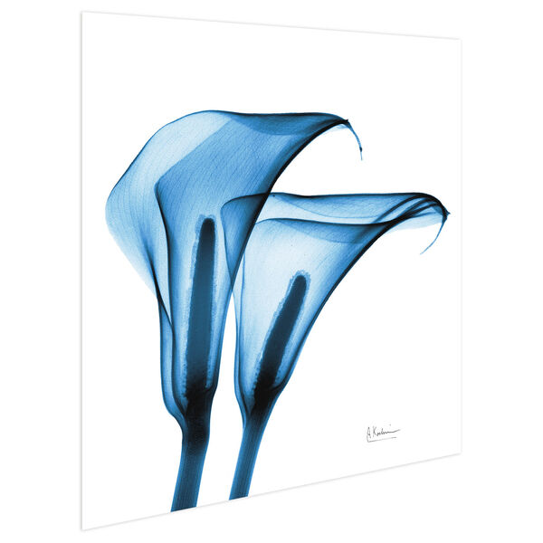 Indigo Calla Lilies  Frameless Free Floating Tempered Glass Graphic Wall Art, image 3