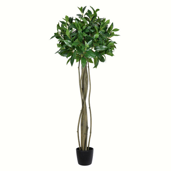 Green Potted Bay Leaf Topiary with 324 Leaves, image 1