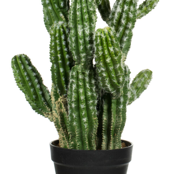 Green 31-Inch Potted Cactus, image 2