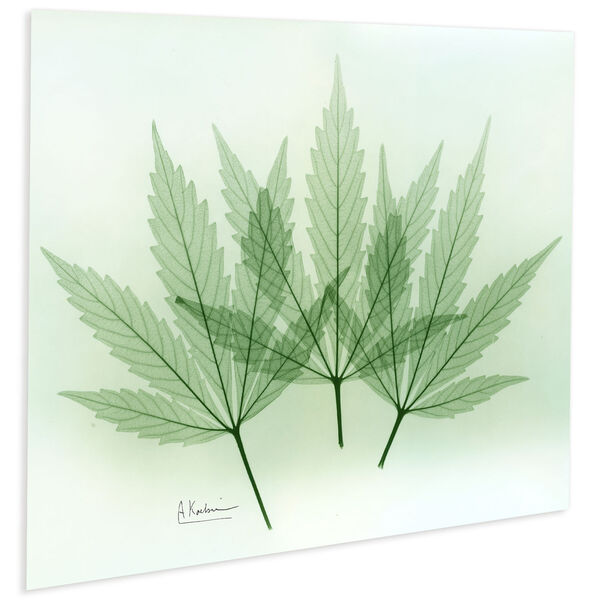 Green Flower Frameless Free Floating Tempered Glass Graphic Wall Art, image 3