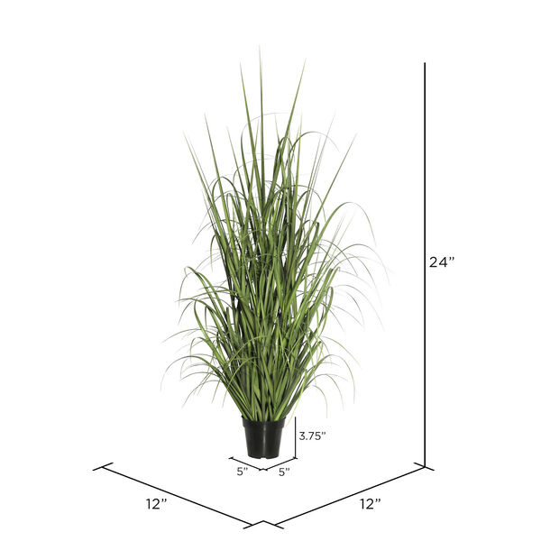 Green 24-Inch Ryegrass with Black Pot, image 2