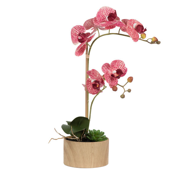 Pink Mauve Orchid Arrangement, image 1