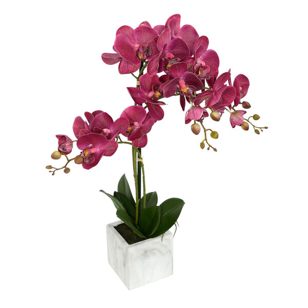 White Plum Real Touch Phalaenopsis in Metal Pot, image 1