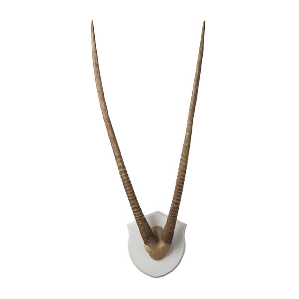 Gazelle Horns Cream Wall Decor, image 1