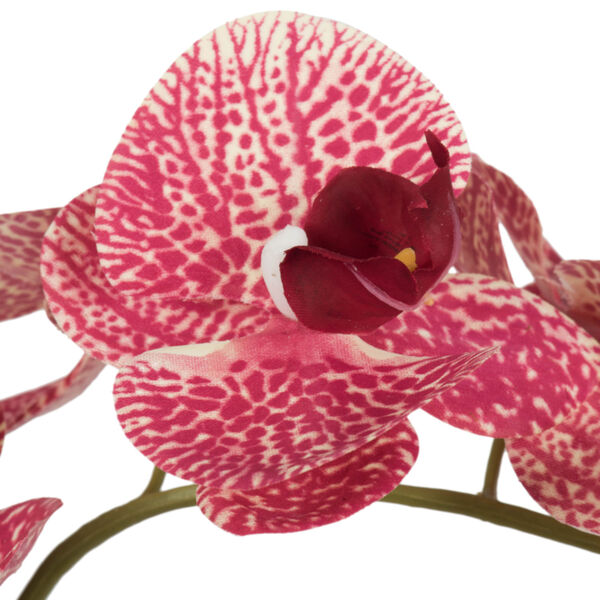 Pink Mauve Orchid Arrangement, image 2