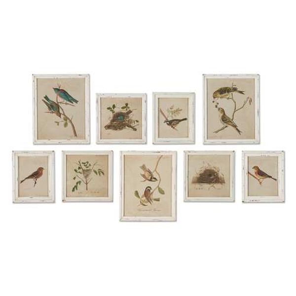 Antique Cream Framed Aviary Bird Nest Habitat Prints Wall Art, Set of Nine, image 2