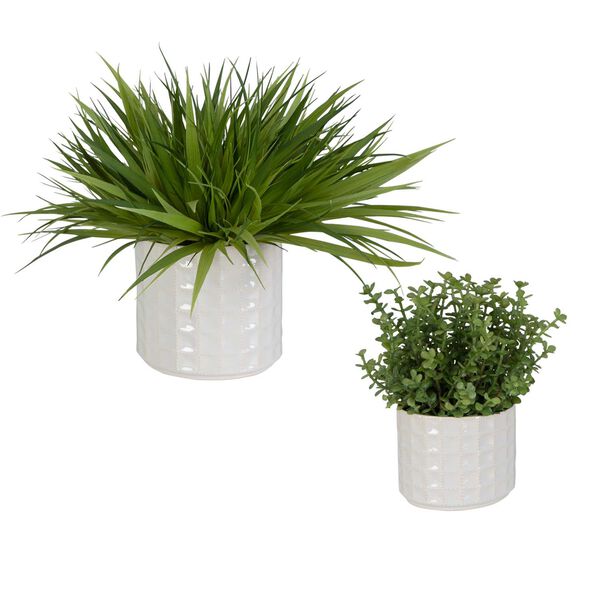 Edgewood White Pot with Variegated Grass And Sedum, Set Of Two, image 3