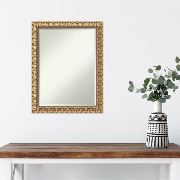 Florentine Gold 22W X 28H-Inch Decorative Wall Mirror, image 6