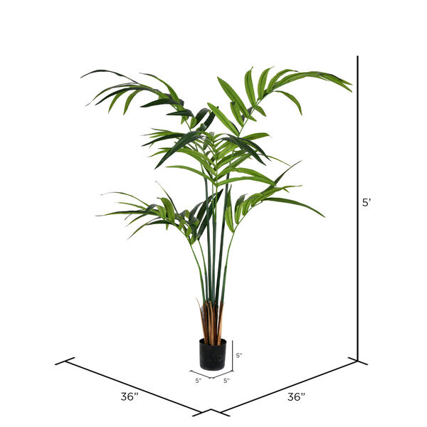 Green Potted Kentia Palm with 88 Leaves, image 2