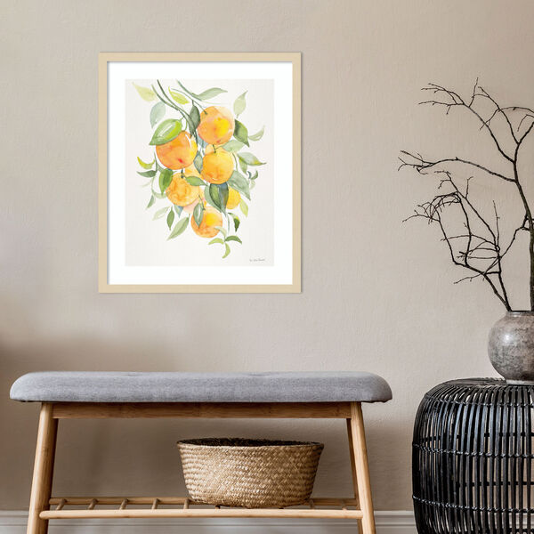 Patricia Shaw Brown Orange Citrus 21 x 25 Inch Wall Art, image 4
